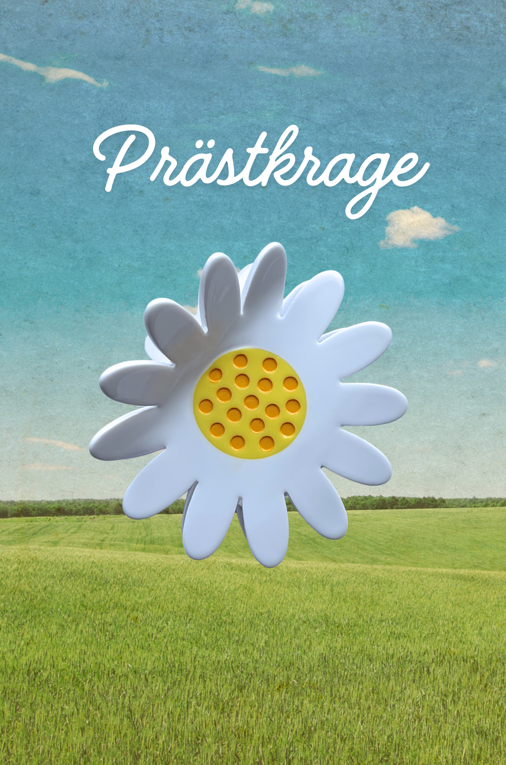 Prästkrage - Hårklämma