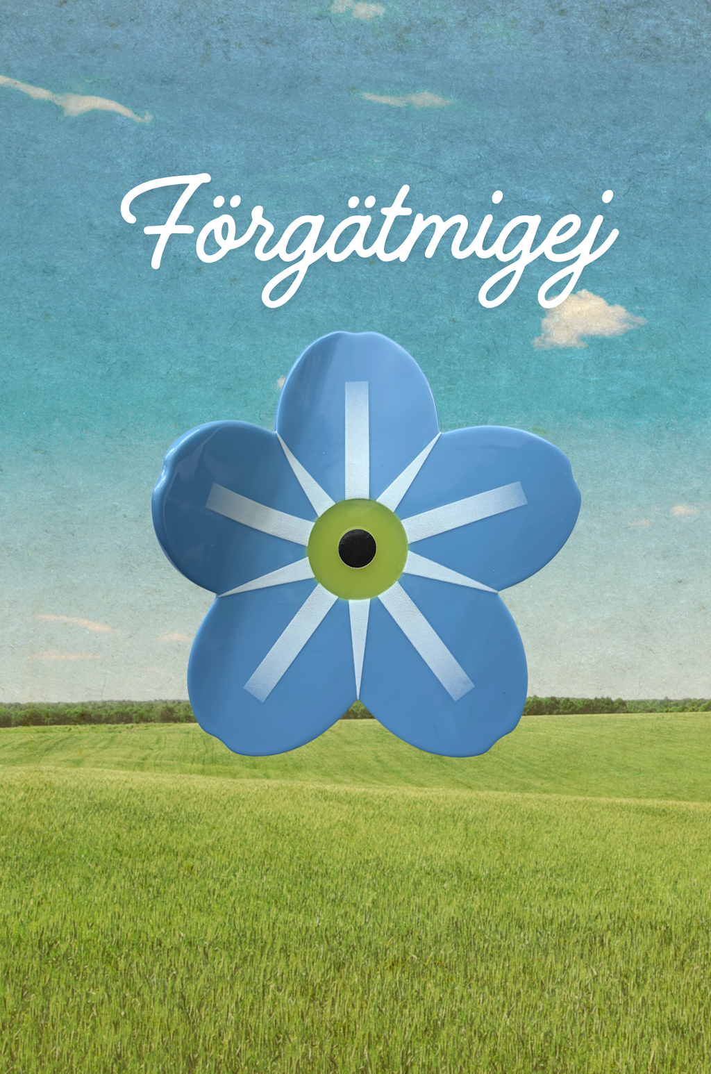 Förgätmigej - Hårklämma