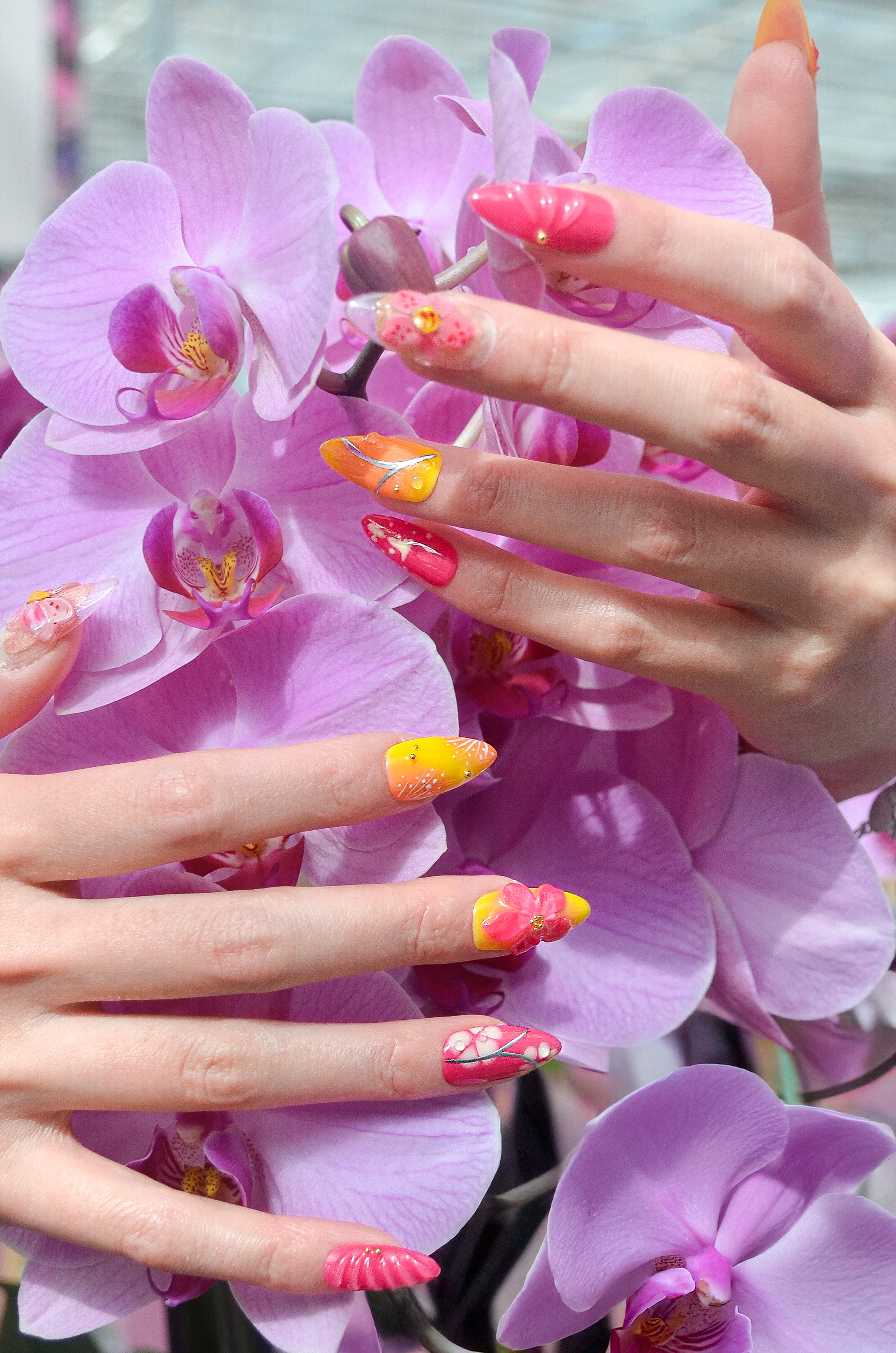 Orchid Dreams - yellow &amp; purple set